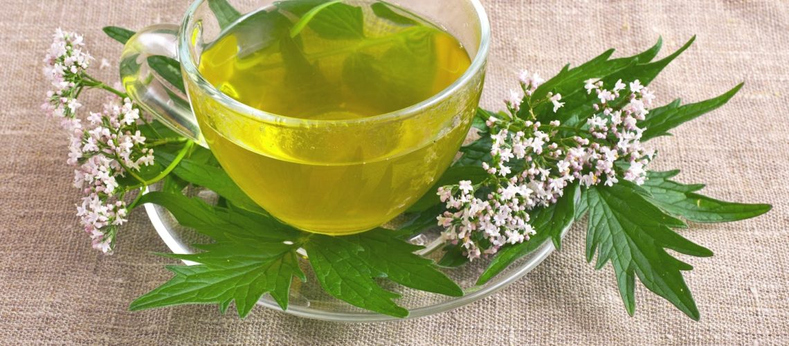 Sommeil : la valériane aide-t-elle réellement à dormir ?